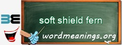 WordMeaning blackboard for soft shield fern